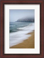 Framed Gray Whale Cove
