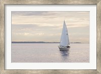 Framed Sailboat in Semiahmoo Bay