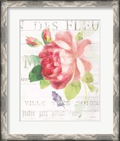 Framed Maison des Fleurs VIII