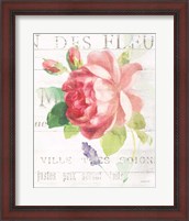 Framed Maison des Fleurs VIII