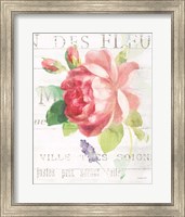 Framed 'Maison des Fleurs VIII' border=