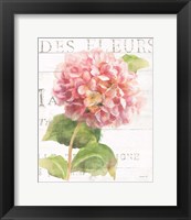 Framed Maison des Fleurs VII