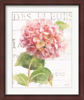 Framed Maison des Fleurs VII