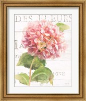 Framed 'Maison des Fleurs VII' border=