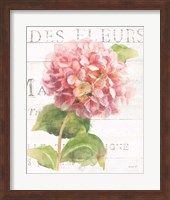 Framed Maison des Fleurs VII