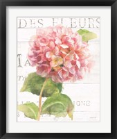 Framed 'Maison des Fleurs VII' border=