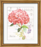 Framed 'Maison des Fleurs VI' border=