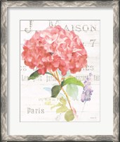 Framed 'Maison des Fleurs VI' border=