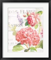 Framed Maison Des Fleurs IV