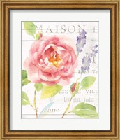 Framed Maison Des Fleurs III