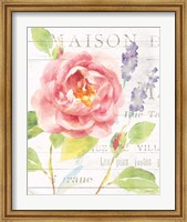 Framed Maison Des Fleurs III