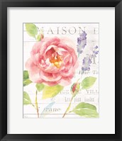 Maison Des Fleurs III Framed Print