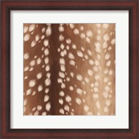 Framed Sweet Fawn I