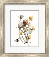 Framed Watercolor Botanical III