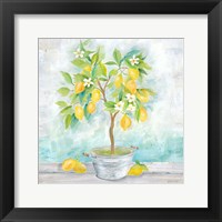 Framed Country Lemon Tree