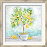 Framed Country Lemon Tree