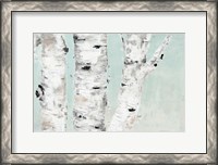 Framed Birch Tree Close Up