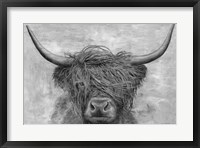 Framed Norwegian Bison