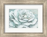 Framed White Rose Splendor