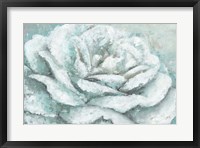 Framed White Rose Splendor