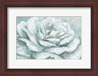 Framed White Rose Splendor