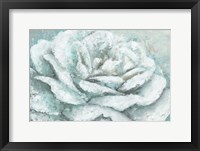 Framed White Rose Splendor