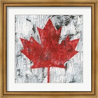 Framed Canada Maple Leaf I
