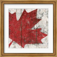 Framed Canada Maple Leaf II