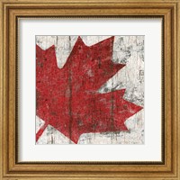 Framed Canada Maple Leaf II
