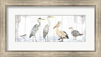 Framed Birds of the Coast Rustic Panel