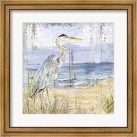 Framed Birds of the Coast Rustic I