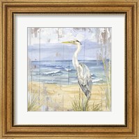 Framed Birds of the Coast Rustic II