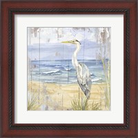 Framed Birds of the Coast Rustic II