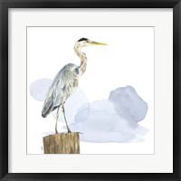 Birds of the Coast on White I Framed Print