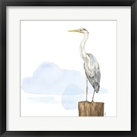 Birds of the Coast on White II Framed Print