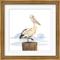 Framed Birds of the Coast on White III