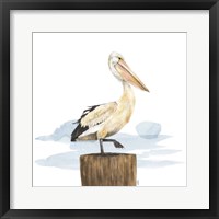 Birds of the Coast on White III Framed Print