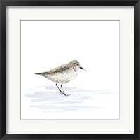 Birds of the Coast on White V Framed Print