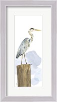 Framed Birds of the Coast Panel I
