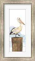 Framed Birds of the Coast Panel III