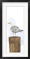 Framed Birds of the Coast Panel IV