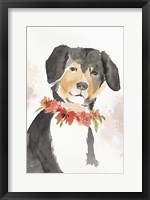 Framed Puppy I