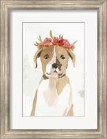 Framed Puppy II