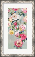 Framed Cascade of Roses III