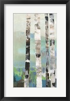 Framed Birchwood I