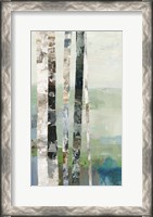 Framed Birchwood II