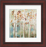 Framed Fall Birch Trees