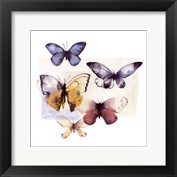 Framed Butterfly Fly Away III