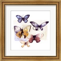 Framed 'Butterfly Fly Away III' border=