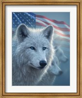 Framed Arctic Wolves America
